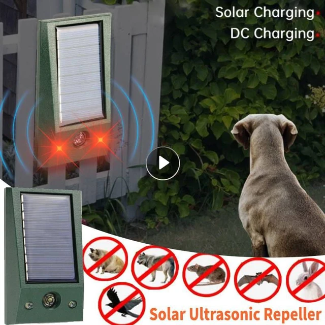 Répulsif Solaire Ultrasonique pour Animaux, Télécommande, Sanglier, Souris,  Oiseaux, Effrayant, Pelouse, Jardin, Cour, Ferme - AliExpress