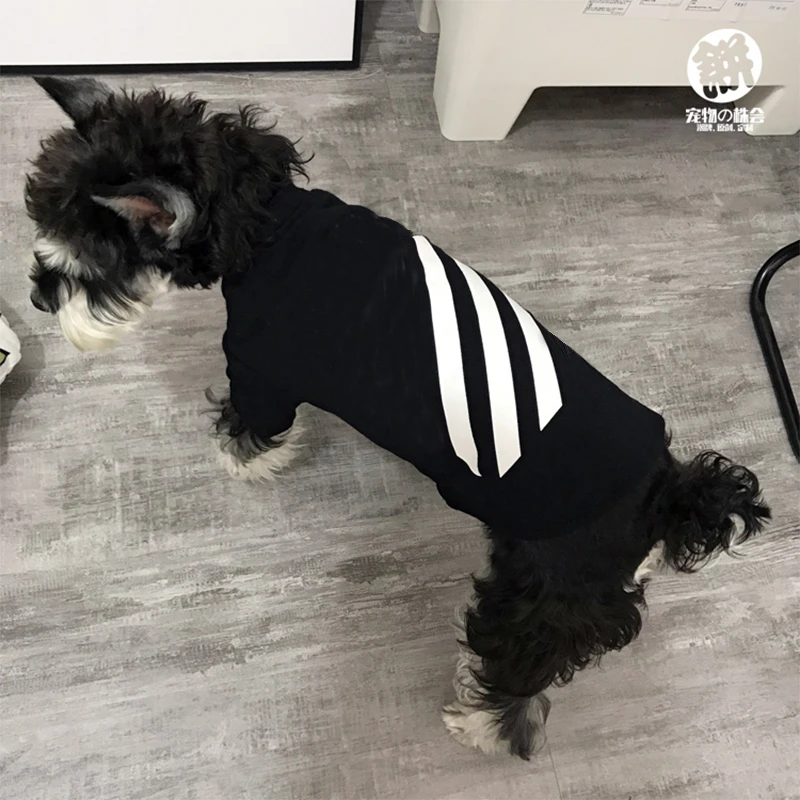 

Футболка Schnauzer Для Пуделя, лето-весна, хлопковый жилет для мопса, чихуахуа, полосатая футболка, модель
