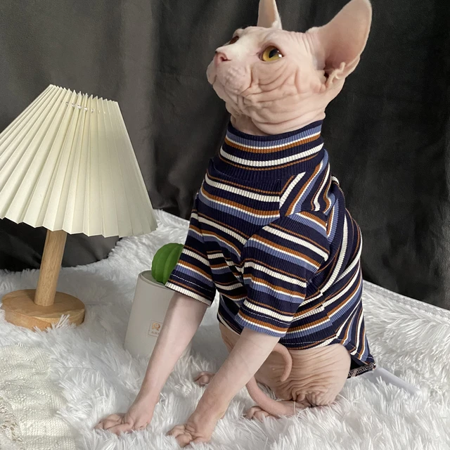 Gucci Cat Clothes | Luxury Gucci Coat for Sphynx Hairless Cat ?