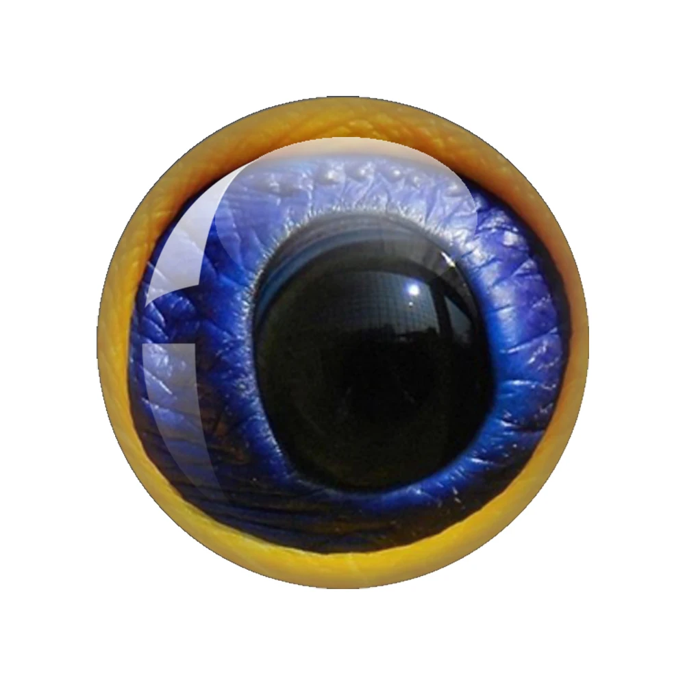 thumbnail image 1 of Cabujón de cristal con forma de ojo de dragón en pares, 12 mm, 16 mm, 18 mm, 20 mm y 25 mm, redondo, para fotografía, con parte trasera plana, 1 of 5