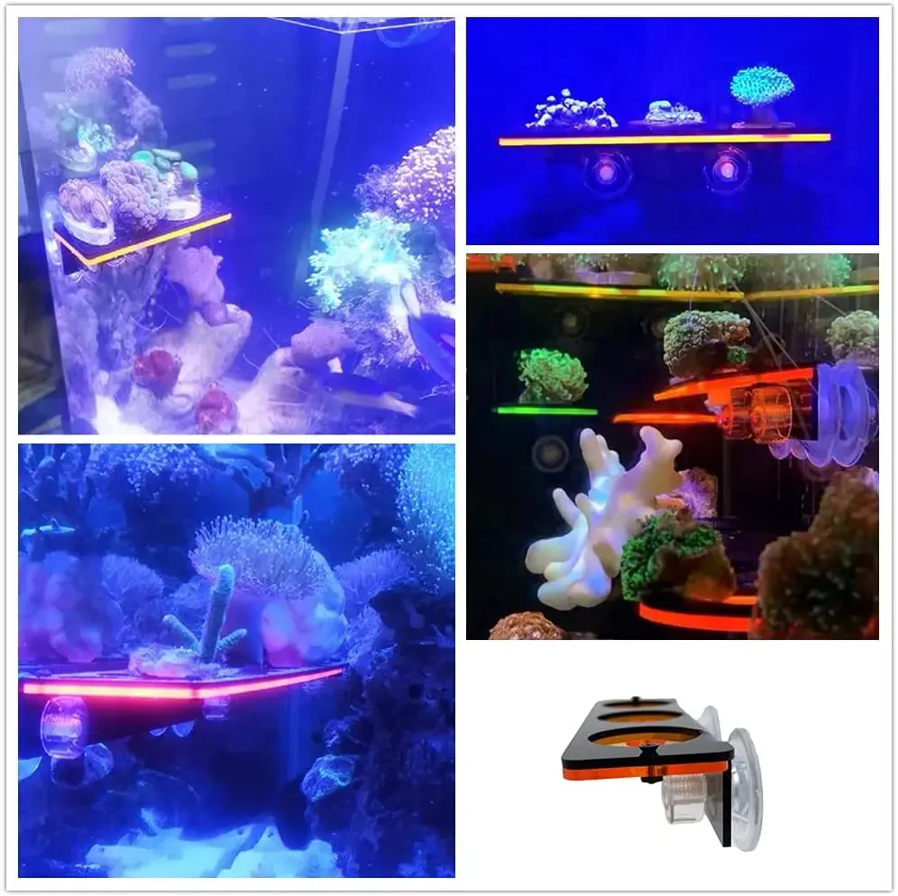 Fish Tank Ornaments Fish Tank Decorations Aquarium Ornaments Fish Tank Fluorescent Coral Frag Bracket Coral Growing Holder Acrylic Rack Marine Reef Stand Aquarium Accessories