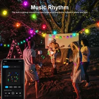 Smart WIFI and Bluetooth G40 LED Bulb String 15M/30M USB Festoon Fairy Lights Room Outdoor Garden Camping Decor Garland Light - Image 3