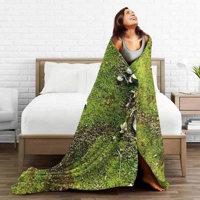 �̳��� ���� ���, �ε巴�� ������ �ö��� ������ ��� ħ�뺸, ħ�� �Ž� ��ũ�� ���� Ȩ ����