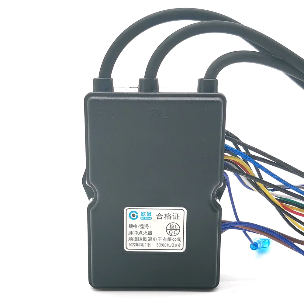 Fogão a Gás Universal Ignição Dupla com Controle de Temperatura e Exibição Interruptor do Ignitor do Pulso com 220v Cabo do Ventilador de Velocidade Única