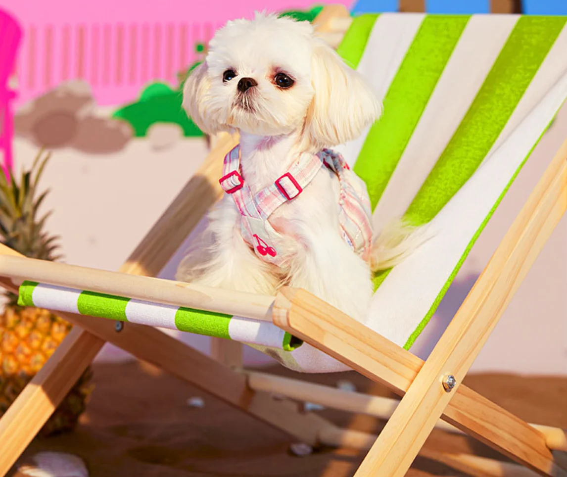 

Denim Vest for Dogs, 100% Cotton, Puppy Clothing, Spring and Summer