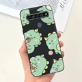 Case-c55
