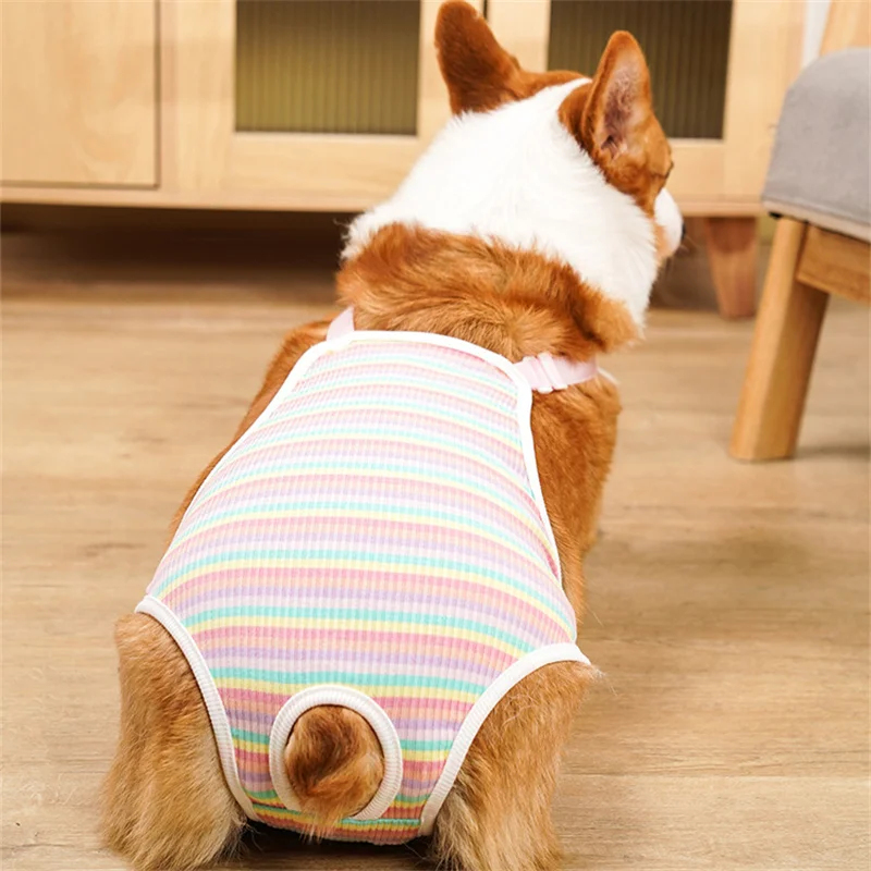 Adjustable Pet Strap Shorts Cute Print Dog Underwear for Small Dogs Corgi French  Bulldog Female Dog Clothing majtki dla psa - AliExpress