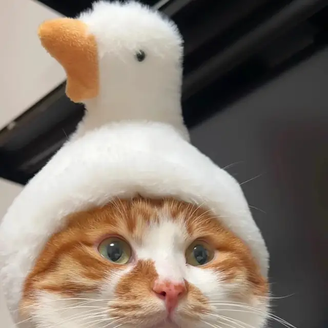 Cute Pet Headband Plush Cat Dog Cap Panda Pig Cosplay Pet Goose Headdress Hat Pet Supplies Cosplay Cartoon Hats for Cats Cute Pet Headband Plush Cat Dog Cap Panda Pig Cosplay Pet Goose Headdress Hat Pet Supplies Cosplay Cartoon Hats for Cats