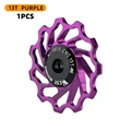 13T Purple