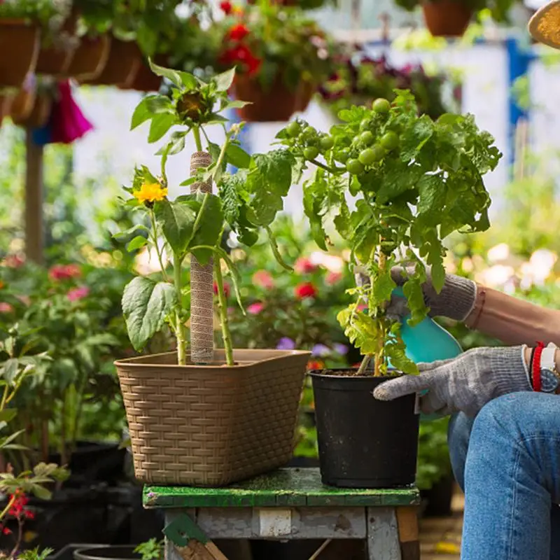 Monstera Pole Coir Totem Plant Climbing Pole Monstera Stake Sturdy Structure Gardening Cocoanut Stick Indoor Trellis for Pothos