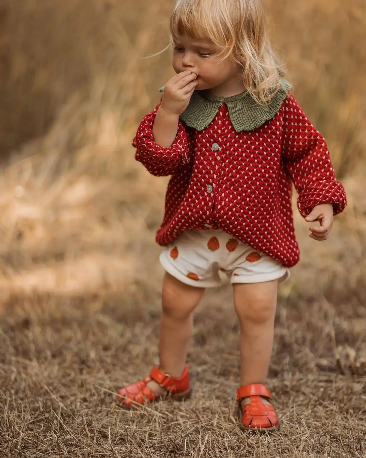 Girls Strawberry Knit Cardigan & Lace Skirt Set 3