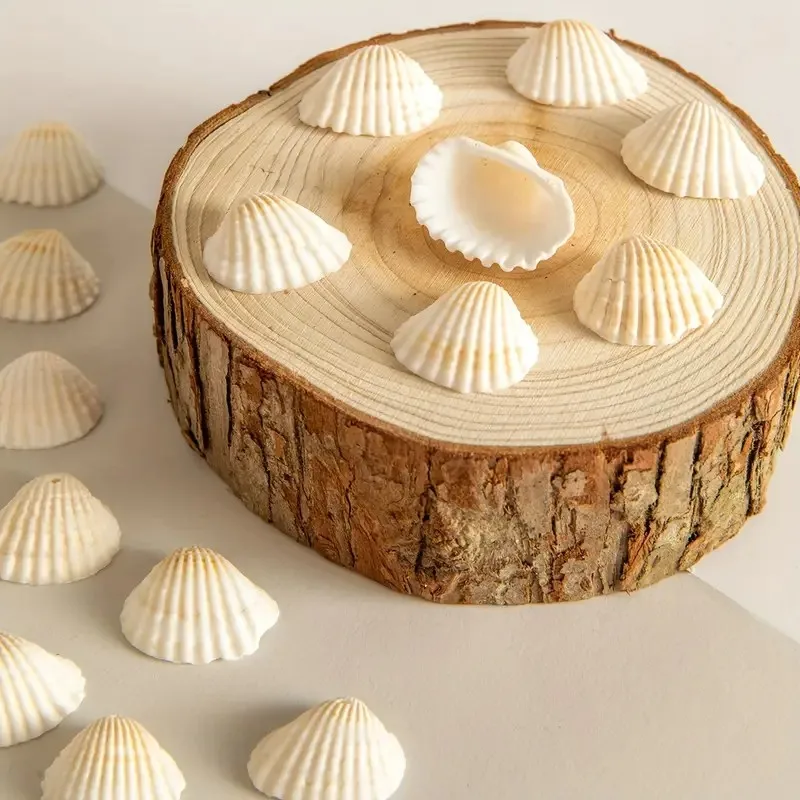 DIY 쥬얼리 만들기위한 20 Pcs 도색되지 않은 천연 쉘 참, 목걸이, 팔찌, 귀걸이 용 수지 공예 조개 공급