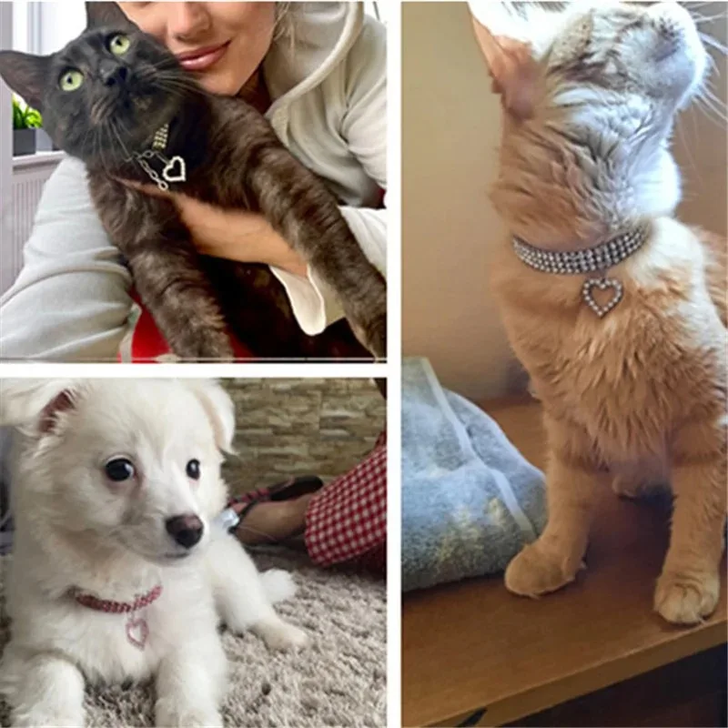 Pet Diamond Necklace Collar 5