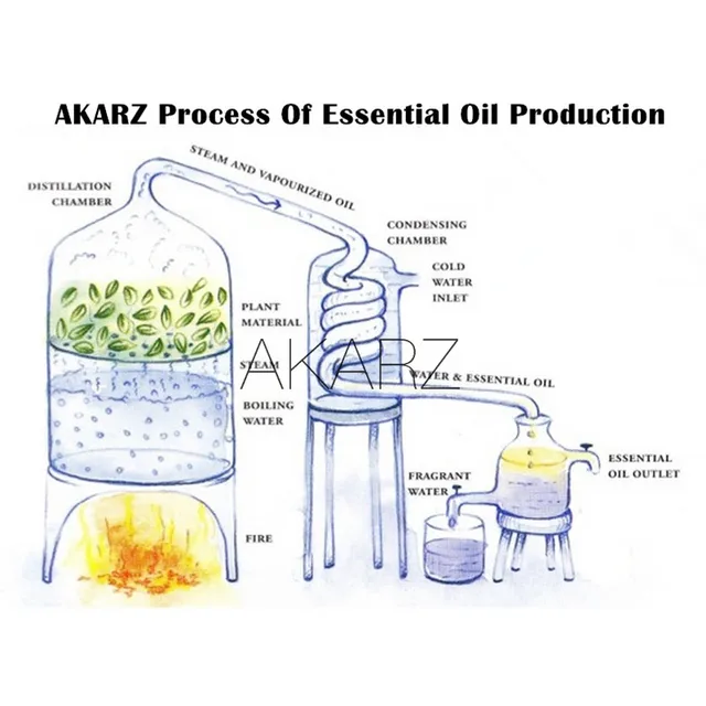 AKARZ-aceite esencial de Musk Natural, aromaterapia, alivia el equilibrio nervioso, estado de ánimo, aceite de almizcle afrodisíaco 3