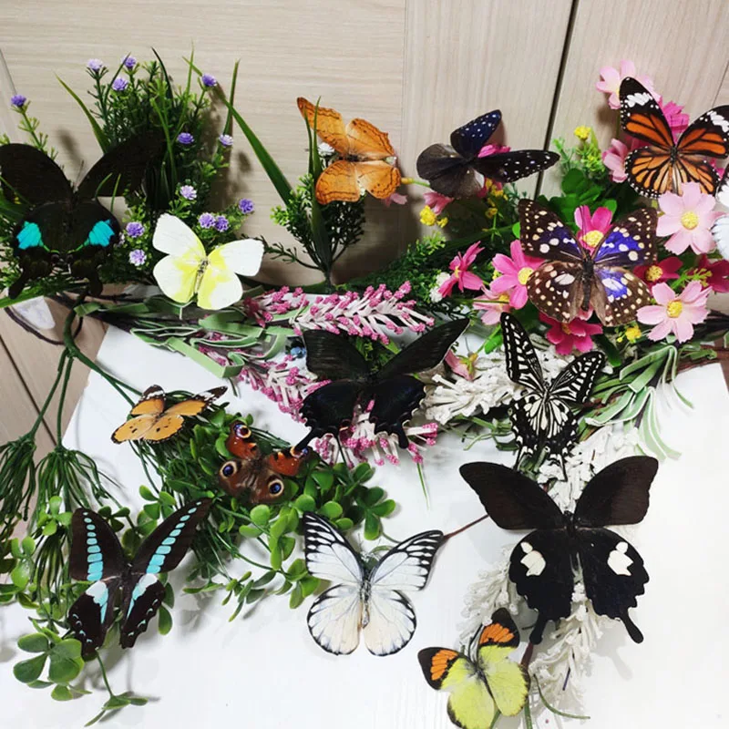 Butterfly Specimens Spread Their Wings of Natural True Butterfly Insects Full Tentacles Biological Teaching DIY Hand Home Decor Butterfly Specimen