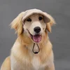 Adjustable Dog Baseball Cap Outdoor Sports Hat Soft Breathable Pet Sun Hat with Ear Holes Dog Parent-Child Hat Hiking 3