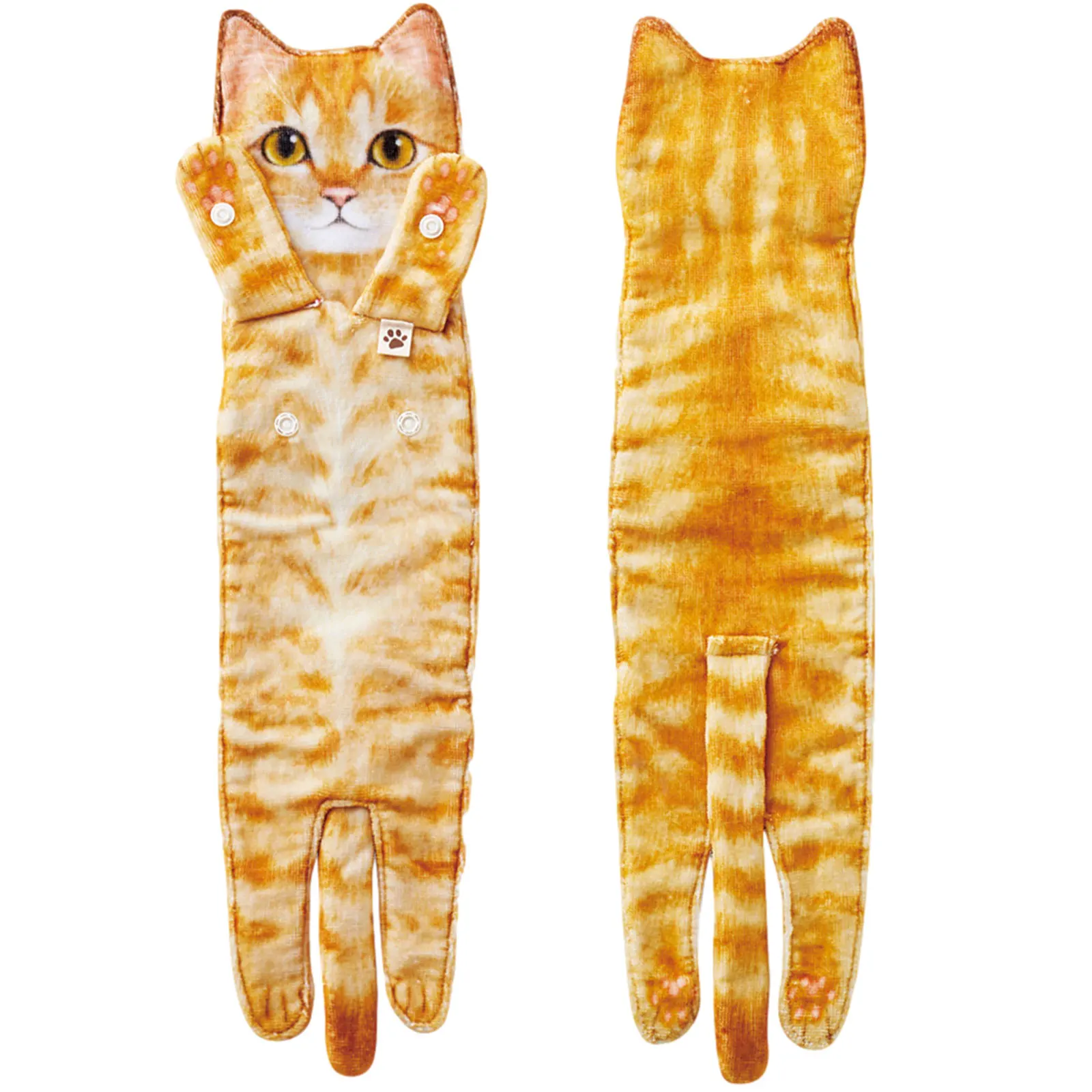 orange cat