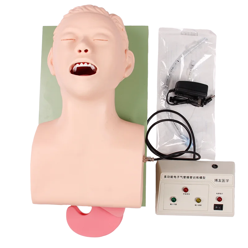 Adult Electronic Human Tracheal Training Model Endotracheal Intubation Training Manikin with Tooth Pressure Alarm