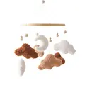 Brown Cloud