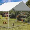 Chicken Coop Roosting Perch Essentials：Perfect for Backyard Poultry,Easy to Assemble & Clean, Fun Roost Toys Included 1