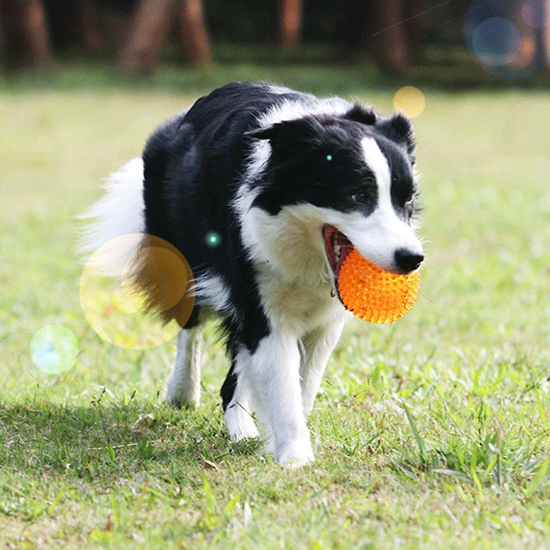 Bite Resistant Pet Chew Ball Toys for Small Large Dogs Elastic Buoyant Squeaky Puppy Big Dog Toy Border Shepherd Collie Supplies 6