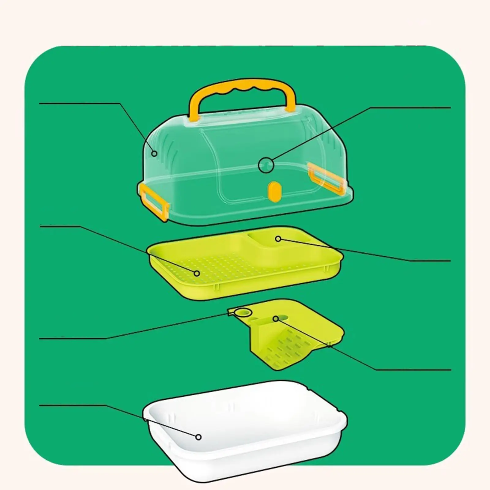 Turtle Tank Amphibians Multifunction Areas Tortoises Case Turtle Terrarium for Snail Butterflies Horned Frogs Turtle Silkworms