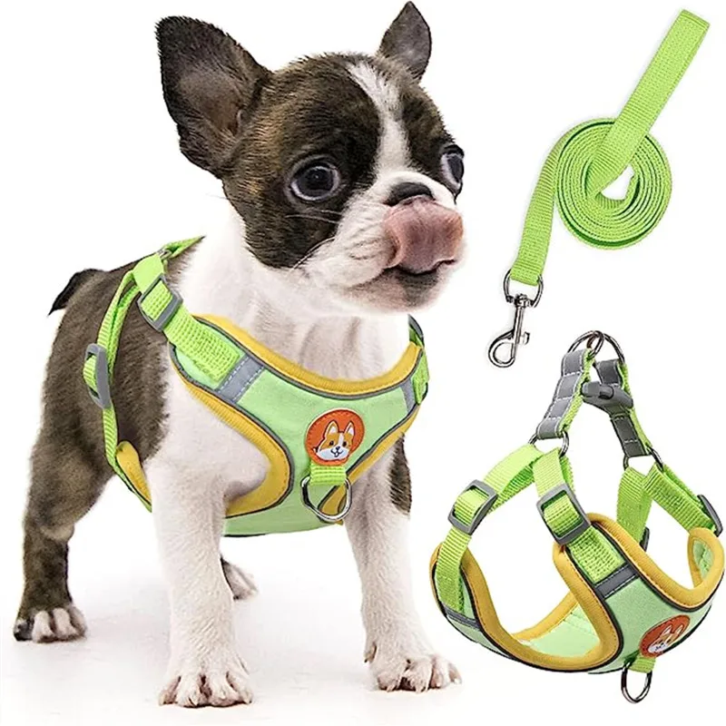 

Dog Harness Adjustable Puppy Harness Ultra Comfort Padded Dog Vest Harness Reflective Dog Harness and Leash Set for Small and Me