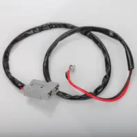 12V 200W 2.5L Electric Air Fryer For Camping Travel oil free cooking in Truck 4