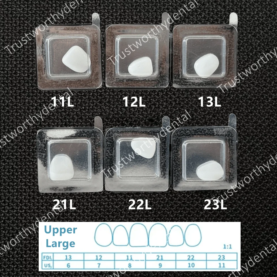 Upper-L x1Set