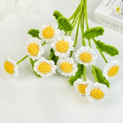 Elegant Handmade Crochet Daisy Flowers (10pcs)