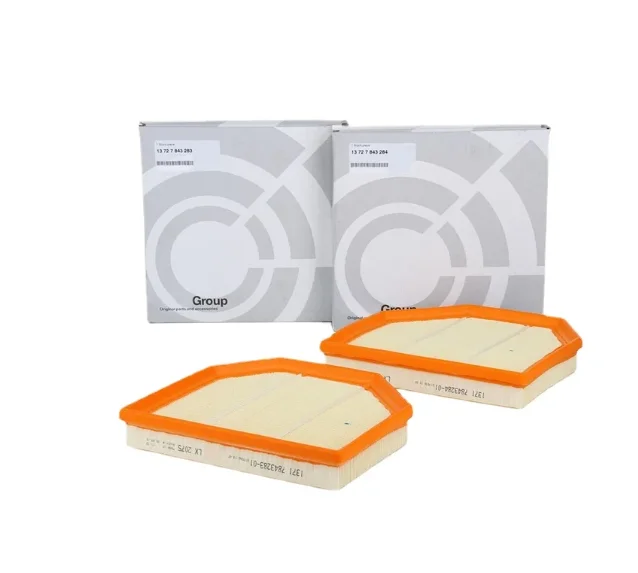 1 Set Filtro Aria Motore Per Bmw M2 M3 M4 M5 M6 S55 S63N 13727843283 13727843284