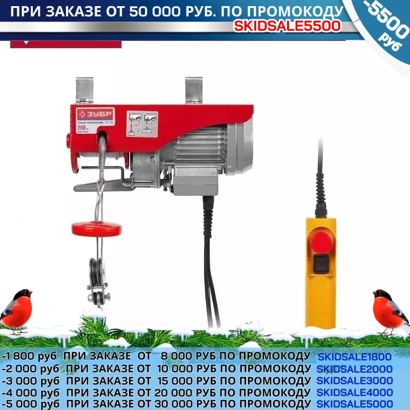 Telfer ZUBR ZET-250 250/125 kg 500 W Lifting tools instruments repair home | Инструменты