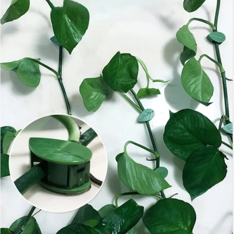 Green plant wall climbing device wall green basket fixed flower buckle climbing vine suction cup hook clip
