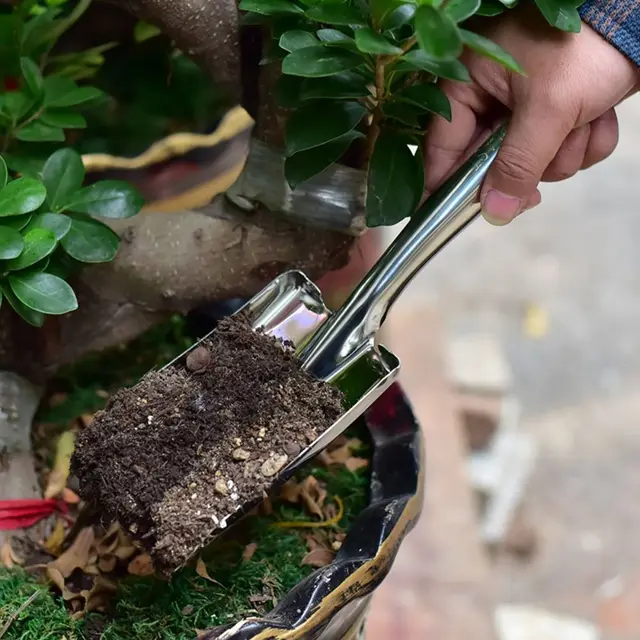 Small Gardening Tool Potting Soil Scoop Gardening Shovel Sharp-nosed Shovel Garden Trowel Square Spade 2