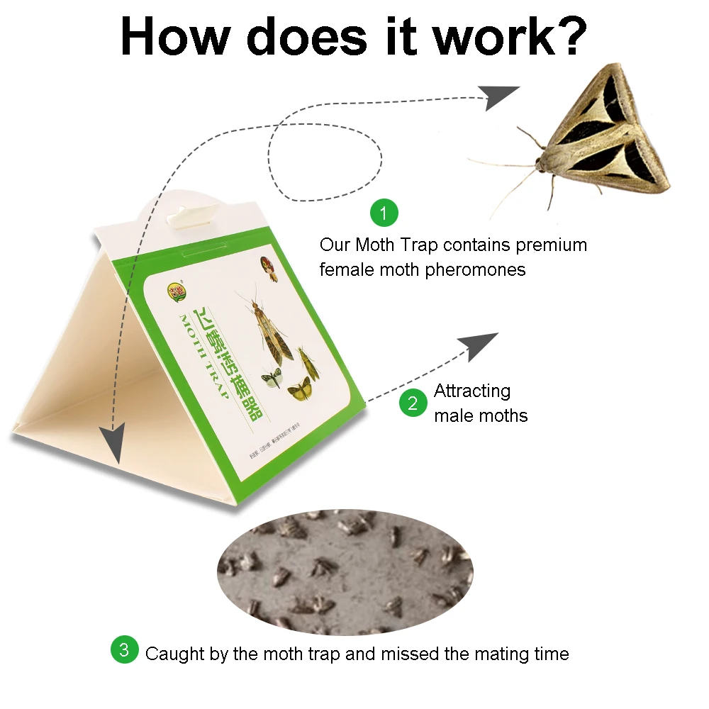 Indian Meal Moth Pheromone Trap (Indian Meal Moth Pheromone Trap: 10 Pheromone Traps)