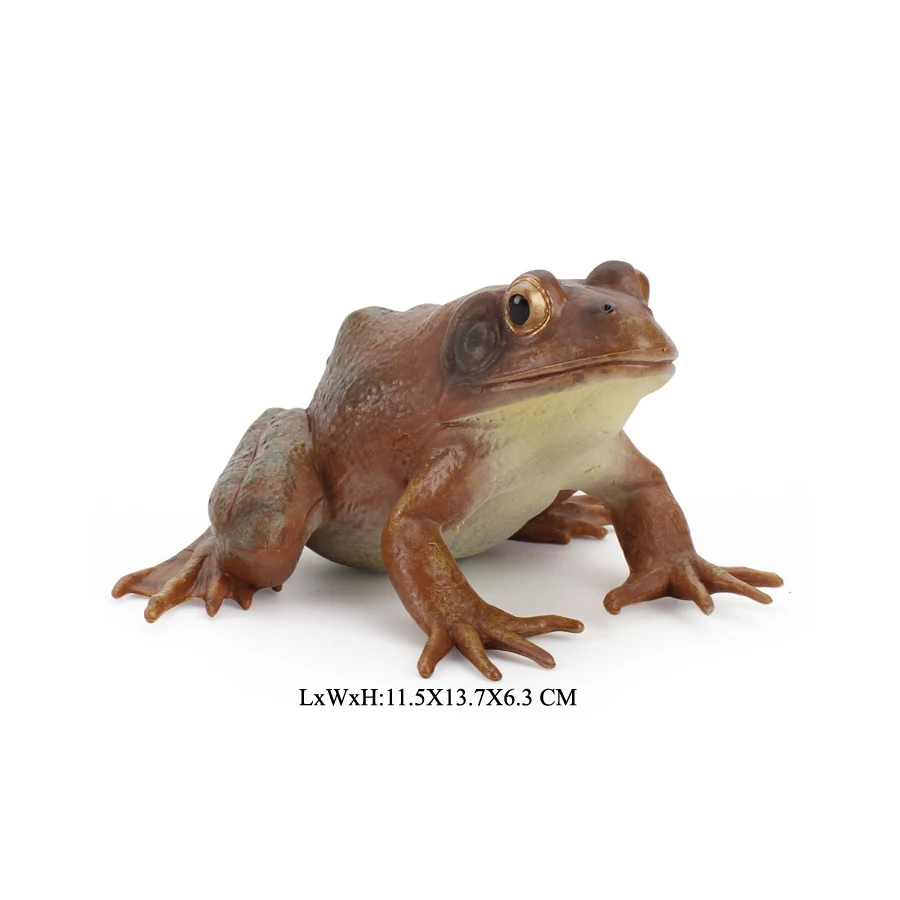 Realistische Kunststoff Regenwald Waldtiere Spielzeug Ochsenfrosch Baumfrosch Pacman Frösche Modellfiguren Garten Blumentopf Pflanzen Dekor – Detail 9