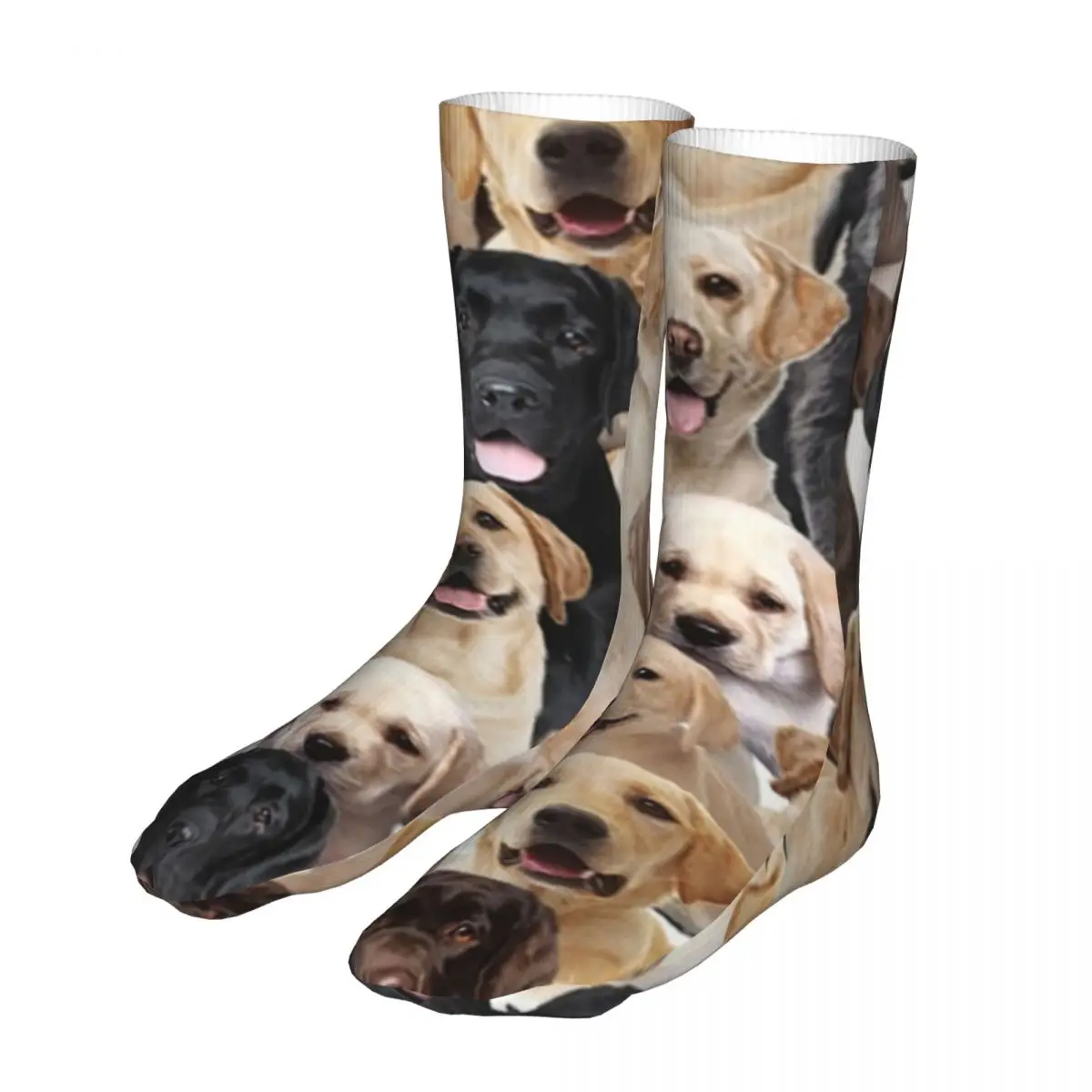 Labrador Cute Dog Socks Men Women Polyester Fashion Merry Christmas Socks Novelty Spring Summer Autumn Winter Socks Gift