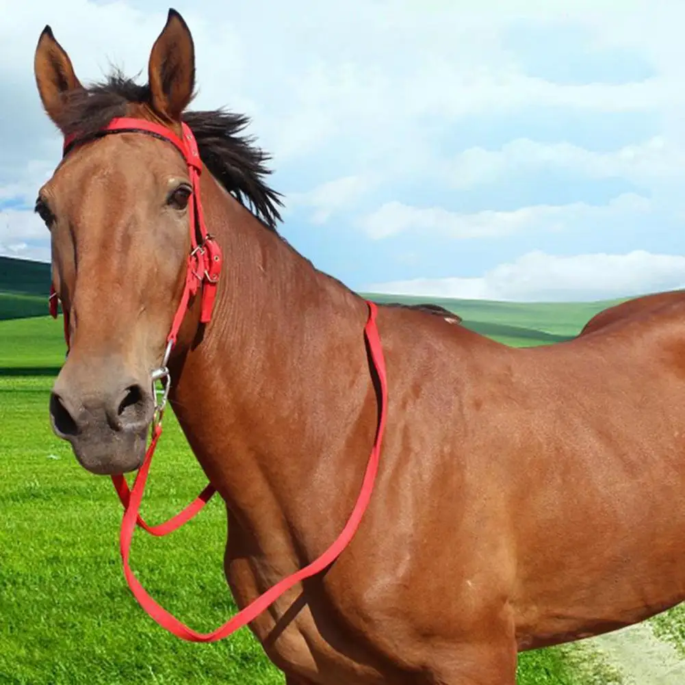 Horse Halter，Adjustable Chin Horse Halter，Plush Padded，Horse Training Equipment，Equestrian Accessories 3