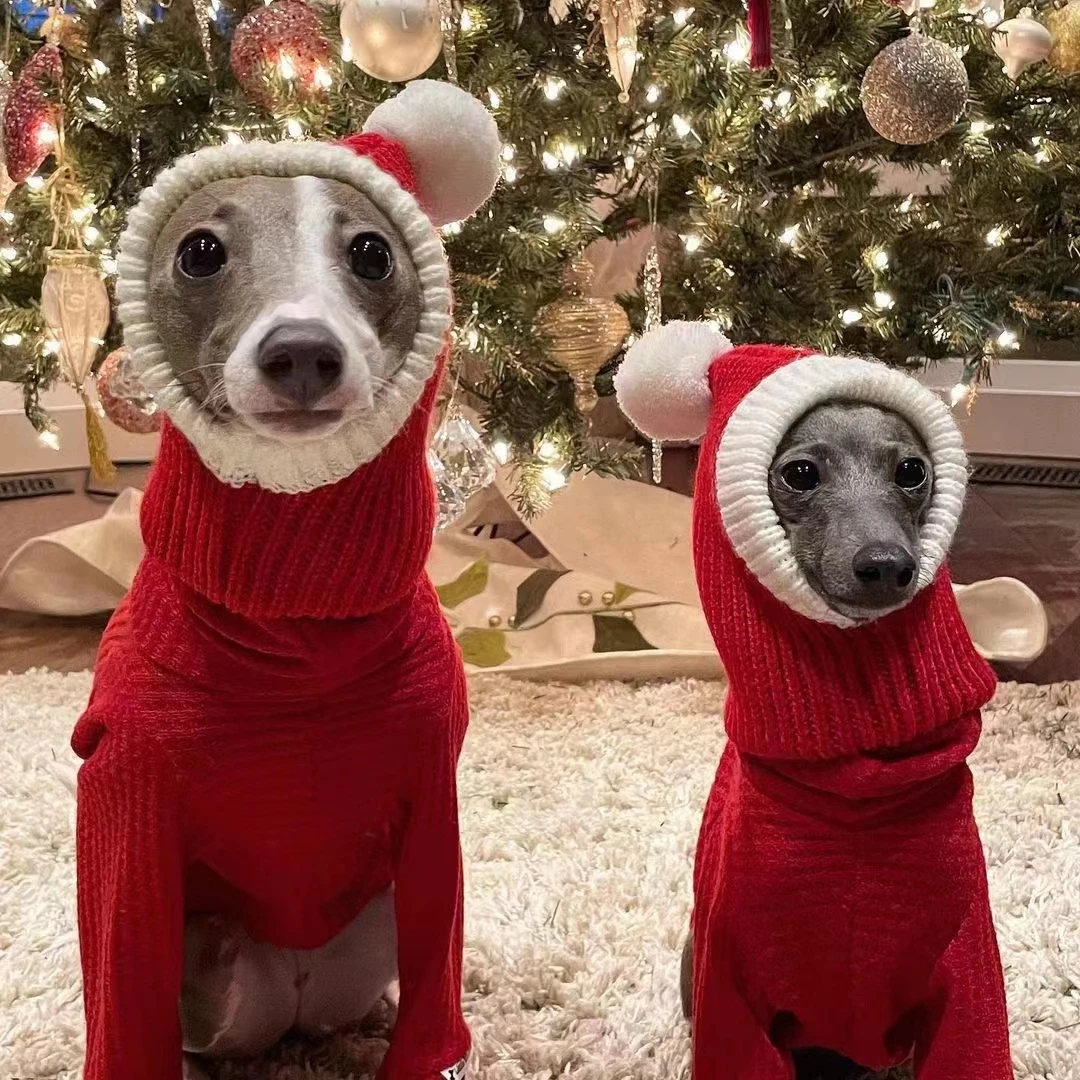 ポム付きの面白い犬の帽子 ニットの犬の帽子 さまざまな写真撮影のための赤 暖かい冬の毛布 犬用キャップ Aliexpress