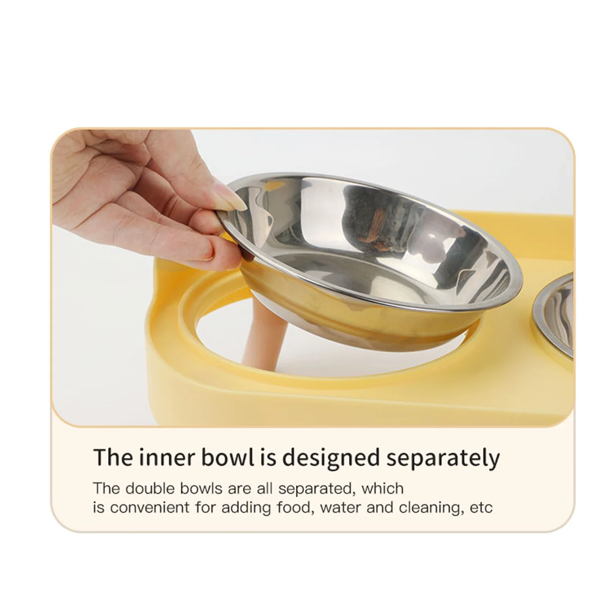 Colorful Double Bowl for Dogs and Cats