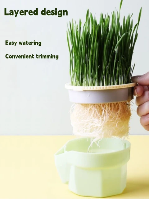 Hierarchical Design Cat Grass Cultivation Cup with Soilless Cultivation Reusable Catnip Growing Container Seed Germination Tray 3