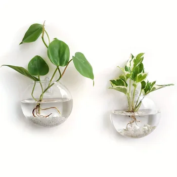 2/4/6 Pack Wall Hanging Glass Terrarium - Self-Watering Hydroponic Planter for Home Office Decor, Handmade Round Crystal Vase 3