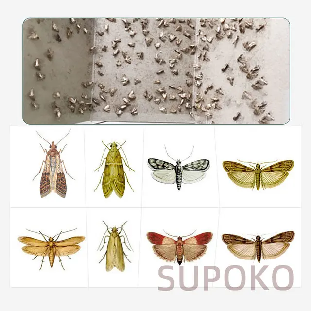 Moths Gyilkos Erős Tapadási Lepke Csapdabot Papírt, Hogy Csökkentse A Lepkék Fizika Becsapódási Buktató Gödör Horog Promóciót Ajándékkal - Image 3
