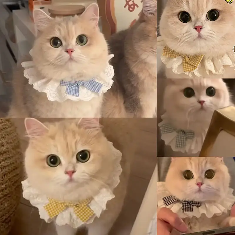 

Cat lace bib collar drool pet bow cute scarf decorative bib dog bib accessories