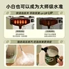 Small household Italian semi-automatic coffee machine milk frothing steam extraction machine 5