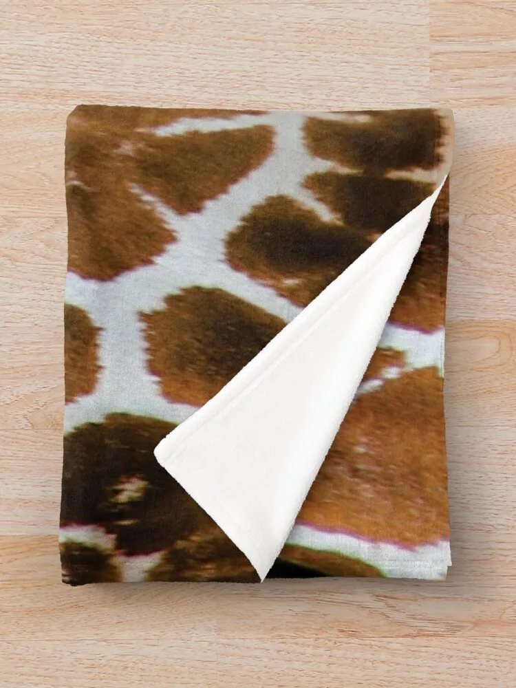 �⸰ ��Ų ���ο� ���, ����� �̱� ���� ���