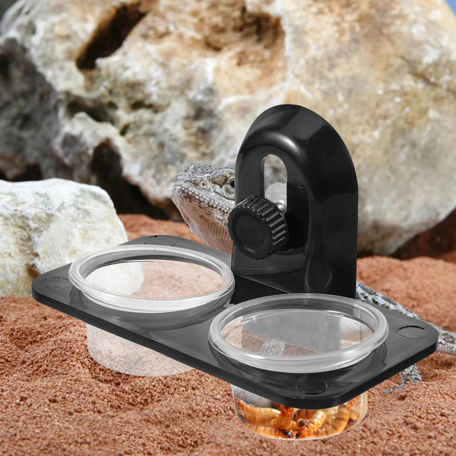 Serenable 3 PCS Reptile Amphibians Chameleon Lizard Feeding Ledge Bowls Double Dish With Suction Cup