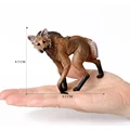 Maned wolf -1