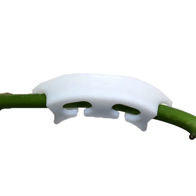 Tomato Gardening Retaining Clips 200pcs Cherry Tomatoes Tomato Stalk Support Clip Ear Clip Semicircle Reinforcing New Material