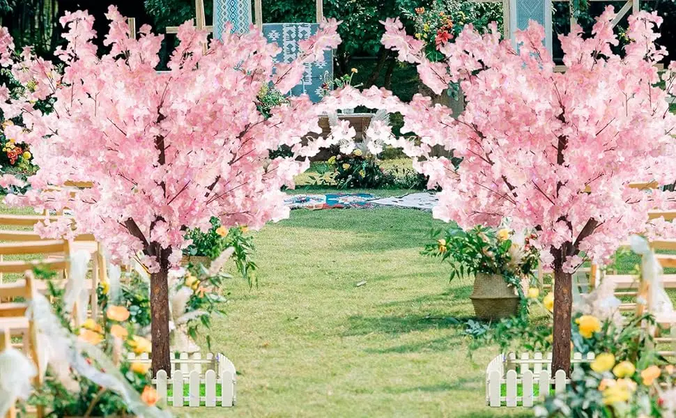 cherry blossom tree